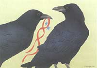Holiday Cards - Ravens
