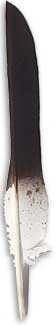 Imitation Eagle Feathers - Golden Pointer