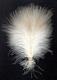Imitation Eagle Feathers - Fluff