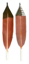 matoska trading company feathers matoska trading company feathers