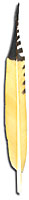 Imitation Yellow Flicker Feather - Tail