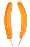 Dyed Turkey Feathers - Rounds - Gold