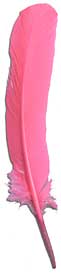 Dyed Turkey Feathers - Select Rounds - Pink