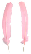 Dyed Turkey Feathers - Rounds - Baby Pink