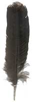 Black Spaniard Turkey Feathers - Rounds - Small