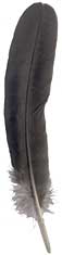 Black Spaniard Turkey Feathers - Rounds - Black