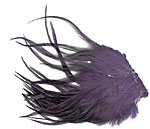 Dyed Strung Saddle Hackles - Dark Purple