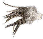 Natural Strung Saddle Hackles - Grey Chinchilla