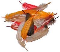 Goose Feathers - Dyed - Assorted