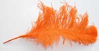 Ostrich Feathers - Wing - Orange