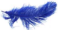 Ostrich Feathers - Wing - Blue