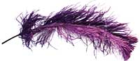 Ostrich Feathers - Wing - Dark Purple