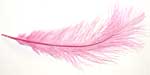 Ostrich Feathers - Drabs - Pink