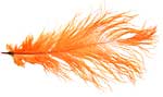 Ostrich Feathers - Drabs - Orange