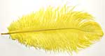 Ostrich Feathers - Drabs - Yellow