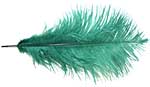 Ostrich Feathers - Drabs - Green