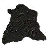 Commercial Tan Buckskin - Black - Select