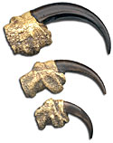 Imitation Eagle Talons - Realistic