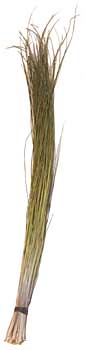 Sweetgrass - Loose