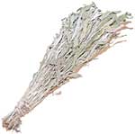 Dakota Sage Bundle - Select