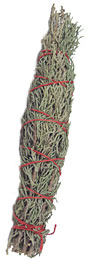 Juniper Bundles