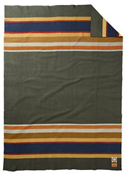 Pendleton Blanket - National Park Series - Badlands