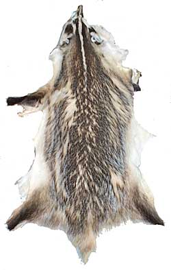 Badger - Craft Grade - Open