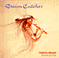 Dream Catcher