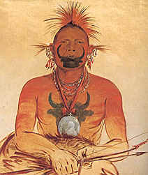 Buffalo Bull - Catlin Drawing 1832