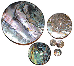 Conch Shell Disc - Abalone - 2 Hole