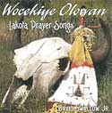 Wocekiye Olowan