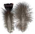 Bronze Turkey Feathers - Flanks