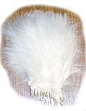 Turkey Feathers - Strung Fluffs - White