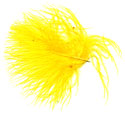 Turkey Feathers - Strung Fluffs - Yellow