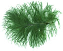 Turkey Feathers - Strung Fluffs - Kelly Green