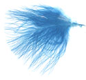Turkey Feathers - Strung Fluffs - Turquoise Blue