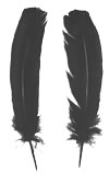 Dyed Turkey Feathers - Rounds - Black