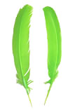 Dyed Turkey Feathers - Rounds - Lime Green