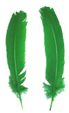 Dyed Turkey Feathers - Rounds - Kelly Green
