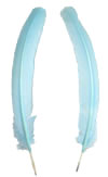 Dyed Turkey Feathers - Rounds - Light Blue