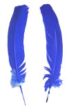 Dyed Turkey Feathers - Rounds - Royal Blue