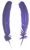 Dyed Turkey Feathers - Rounds - Purple