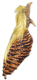 Pheasant Feathers - Golden - Crest #1