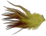 Dyed Strung Saddle Hackles - Olive Green