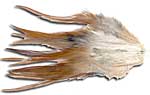 Natural Strung Saddle Hackles - Natural Red