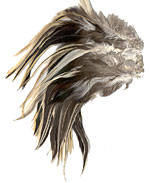 Natural Strung Neck Hackles - Badger