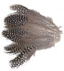 Guinea Hen Feathers - Strung Body Plumage - Small Eyes