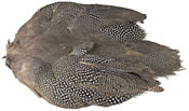 Guinea Fowl Skin