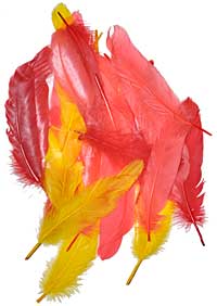 Goose Feathers - Dyed - Reds / Yellows