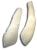 Buffalo Teeth